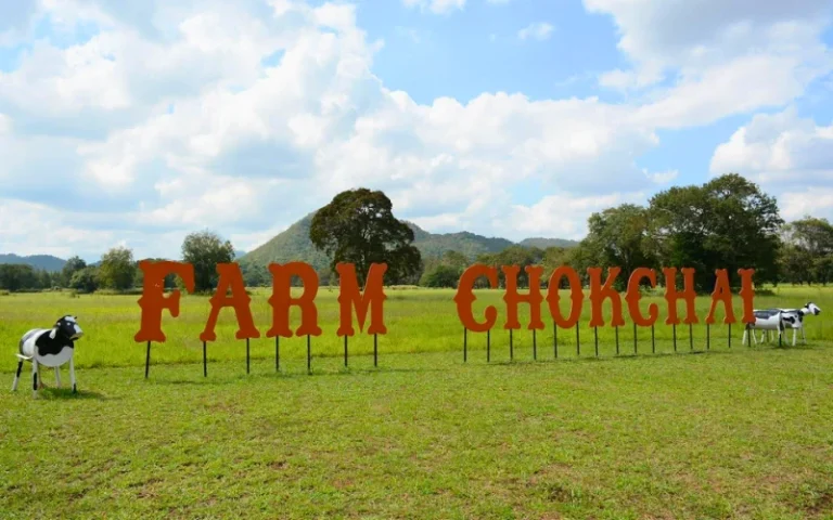Chokchai farm