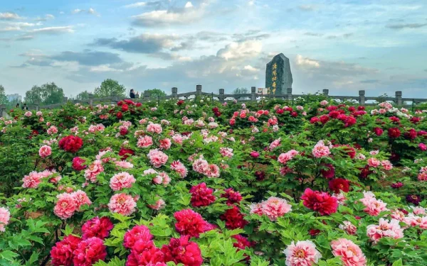 Công viên Hoa Mẫu Đơn