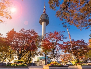 Du Lịch Hàn Quốc: Busan - Daegu - Seoul (2025)