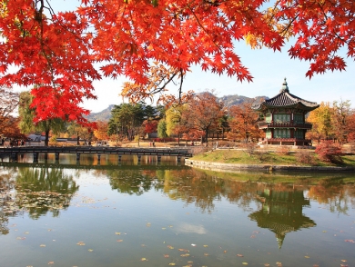 Khám Phá Hàn Quốc: Seoul -Nami-Everland (2025)