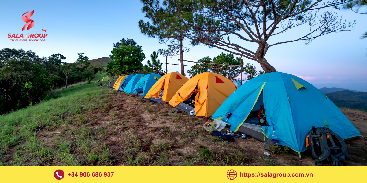 Các hạng mục dịch vụ Trekking - Camping nổi bật