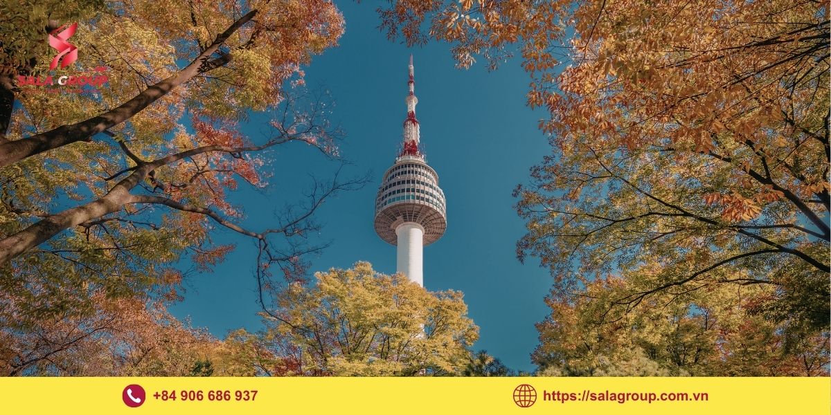 Công viên Quốc gia Namsan - Sắc thu giữa lòng Seoul