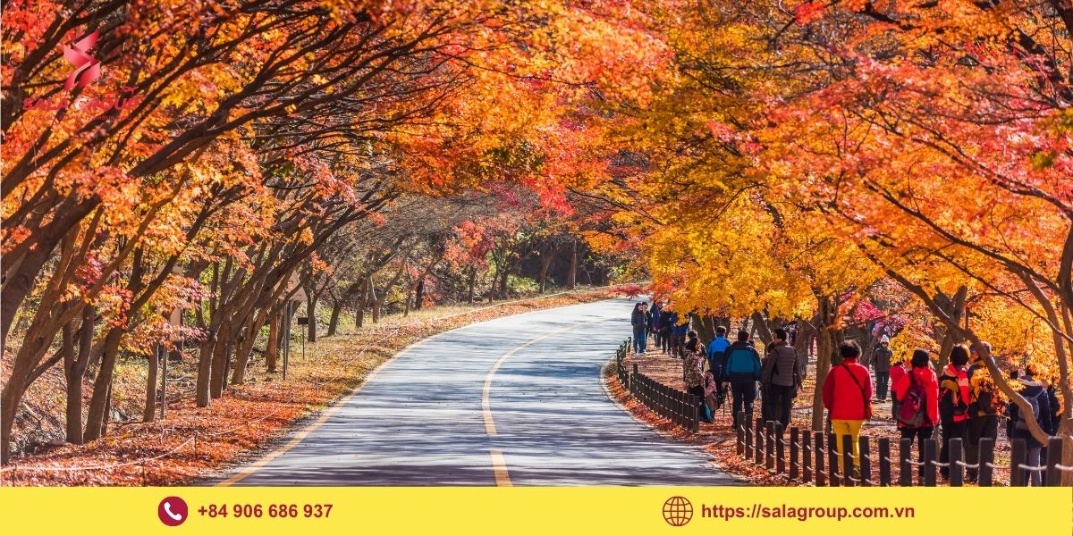 Mùa thu Hàn Quốc có gì đặc biệt?