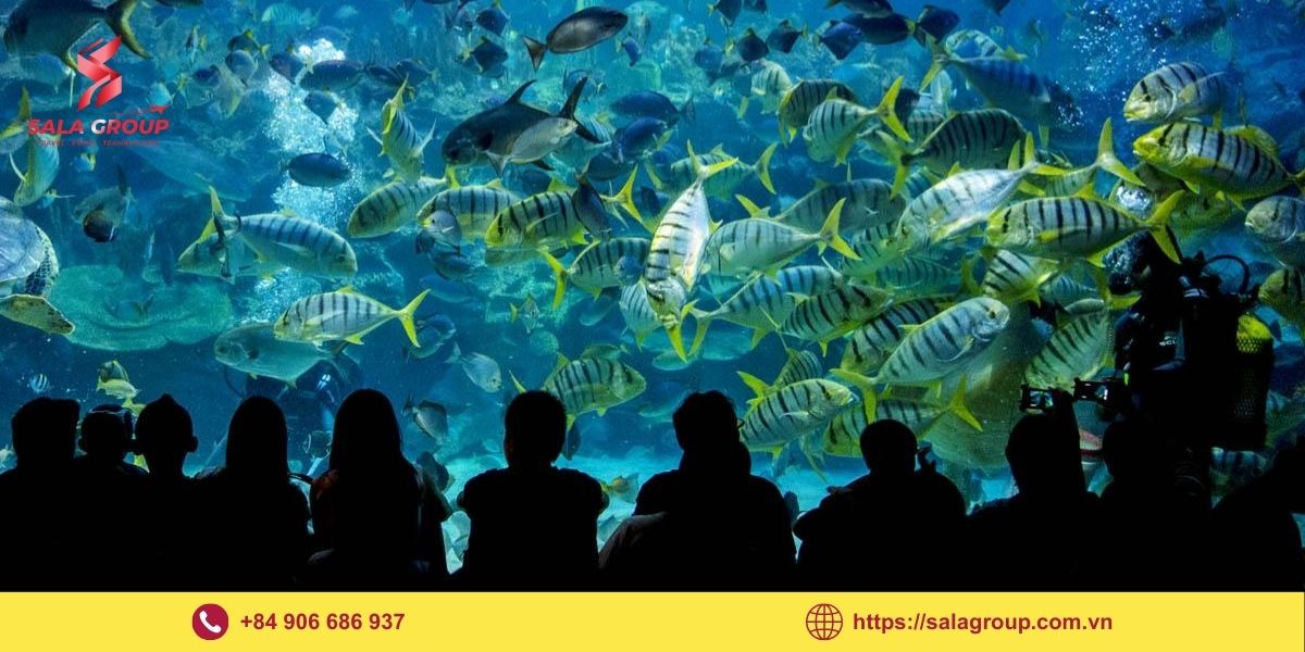 Thủy cung Aquaria KLCC - Trải nghiệm thế giới đại dương giữa đô thị